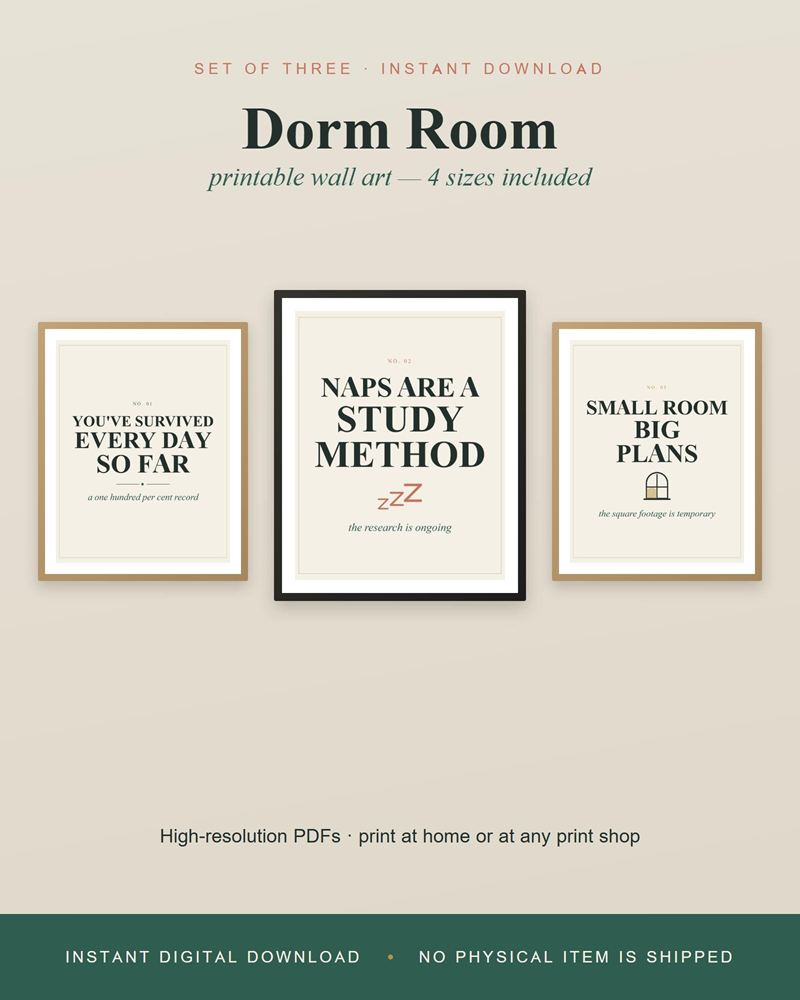Three framed dorm prints: You've Survived Every Day So Far, Naps Are a Study Method and Small Room Big Plans