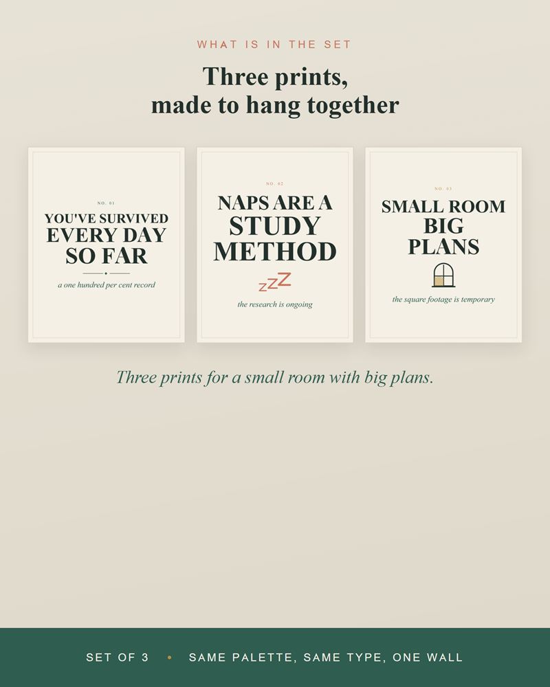 The three dorm designs side by side: You've Survived Every Day So Far, Naps Are a Study Method and Small Room Big Plans